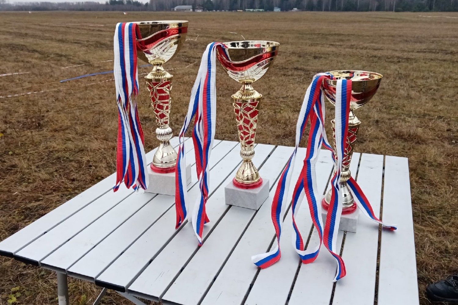 5-6 ноября прошёл Чемпионат и Первенство области по авиамодельному спорту